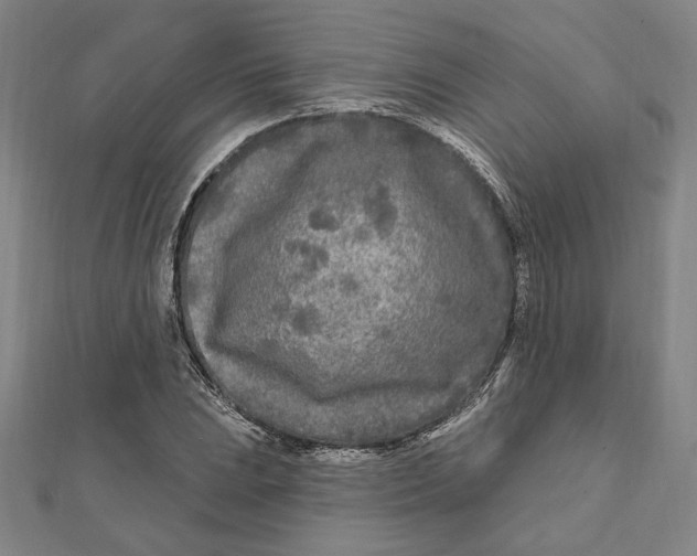 X0000111671023200908141424