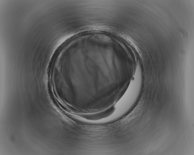 X0000111671024200908141424