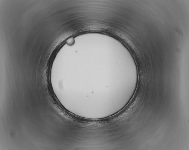 X0000111671026200908141424