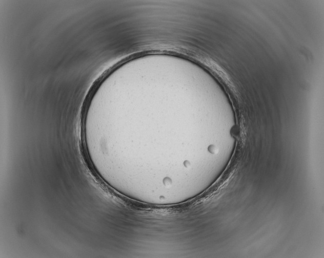 X0000111671028200908141424