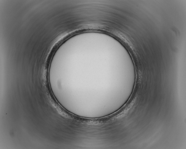 X0000111671029200908141424