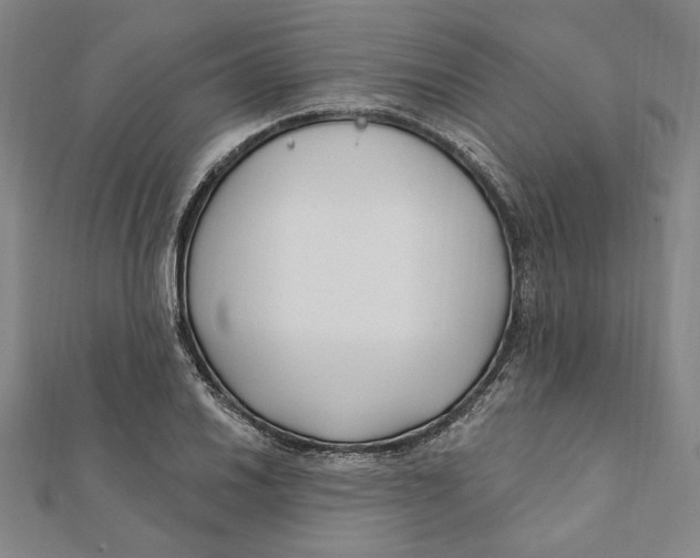 X0000111671030200908141424