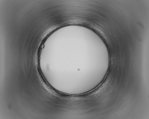 X0000111671034200908141424