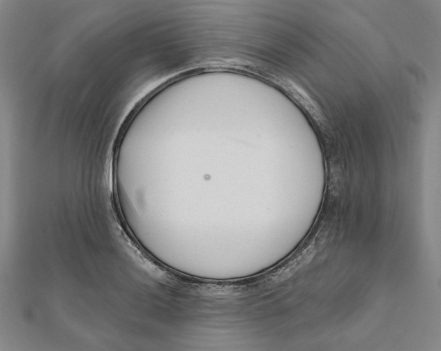 X0000111671036200908141424