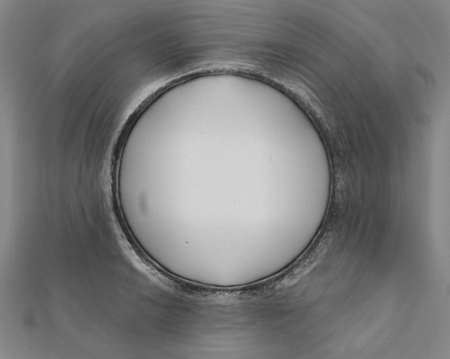 X0000111671038200908141424