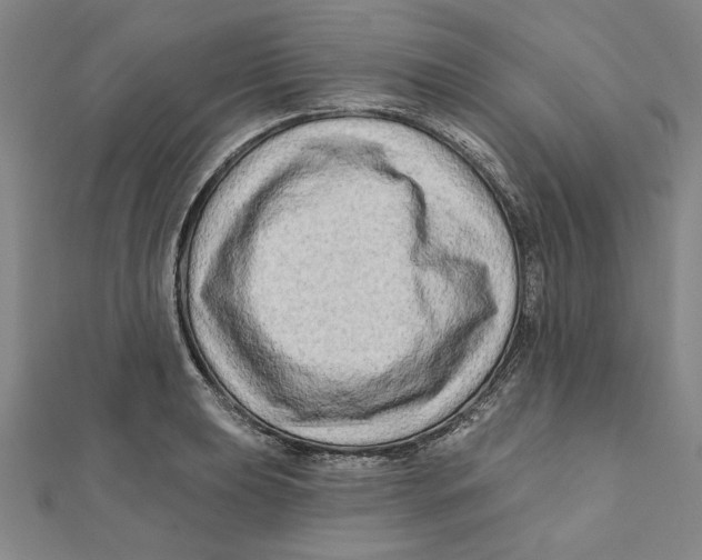 X0000111671039200908141424