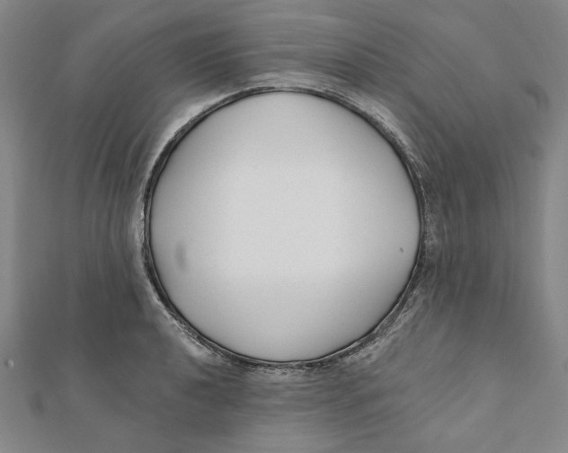 X0000111671040200908141424