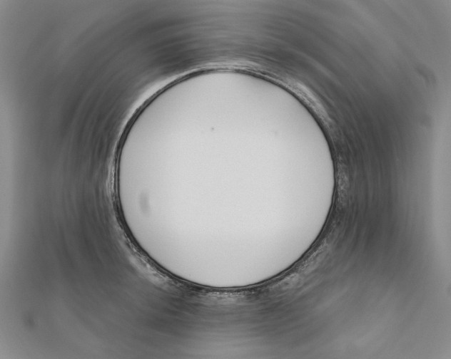 X0000111671044200908141424