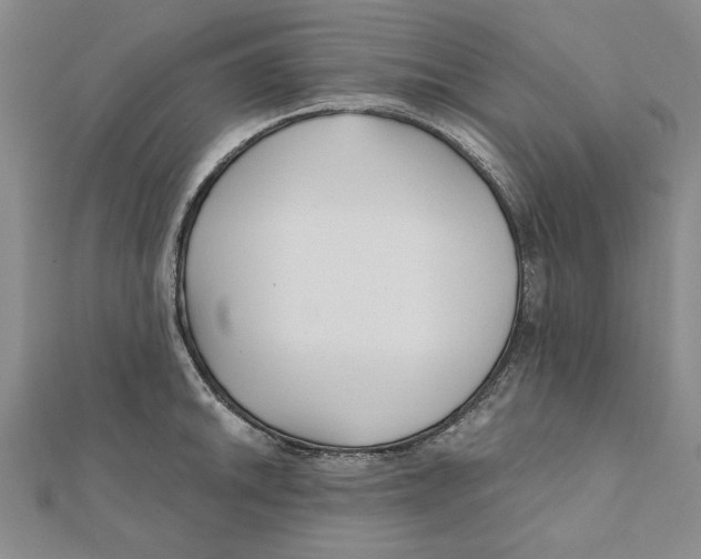 X0000111671046200908141424