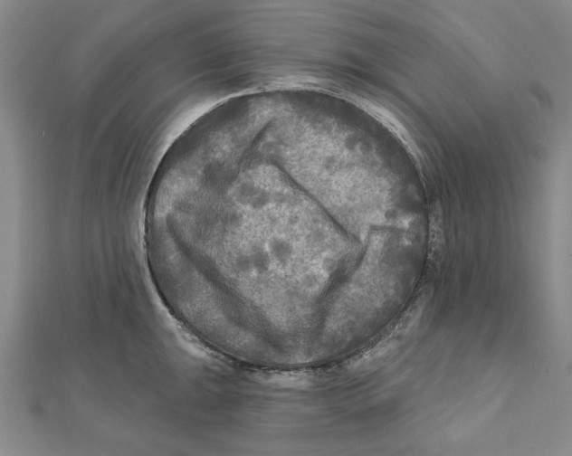 X0000111671047200908141424