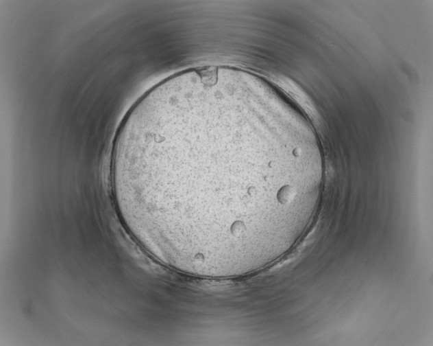 X0000111671052200908141424