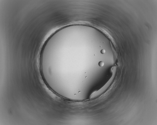 X0000111671054200908141424