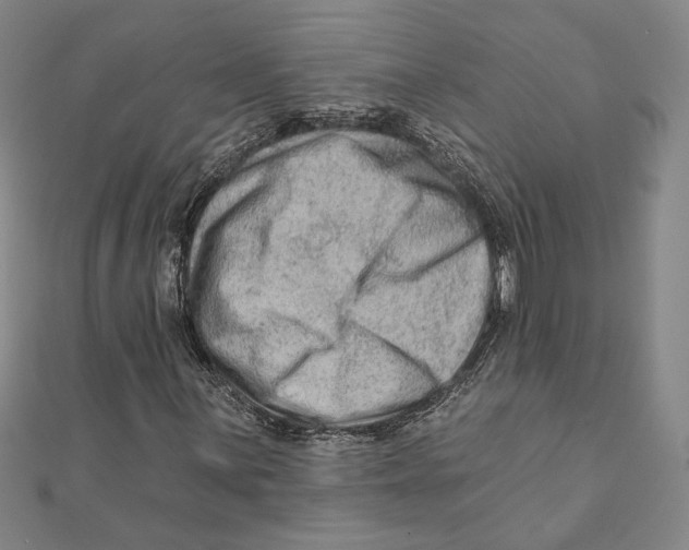 X0000111671059200908141424