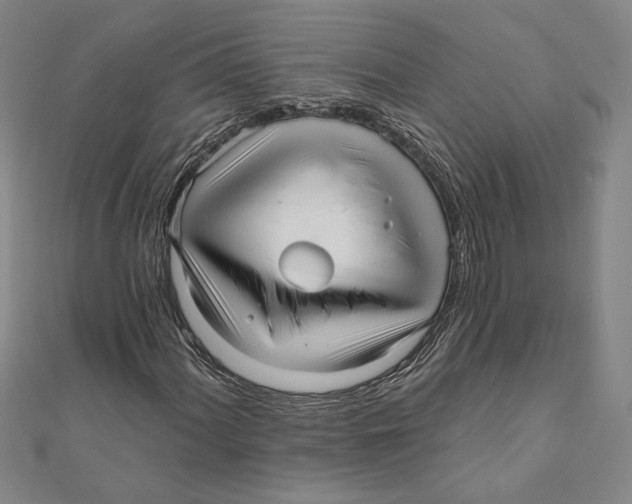 X0000111671060200908141424