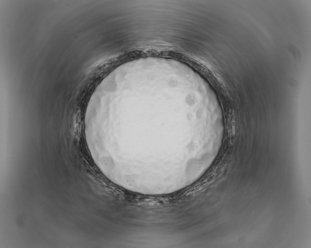 X0000111671063200908141424