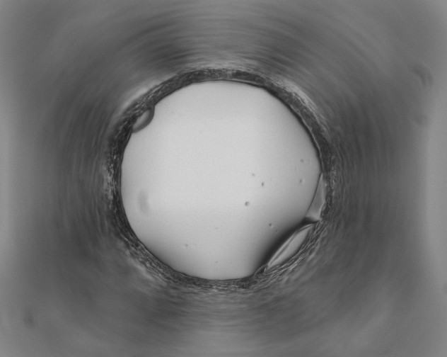 X0000111671064200908141424