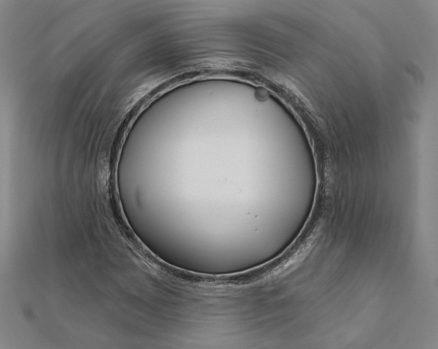 X0000111671065200908141424