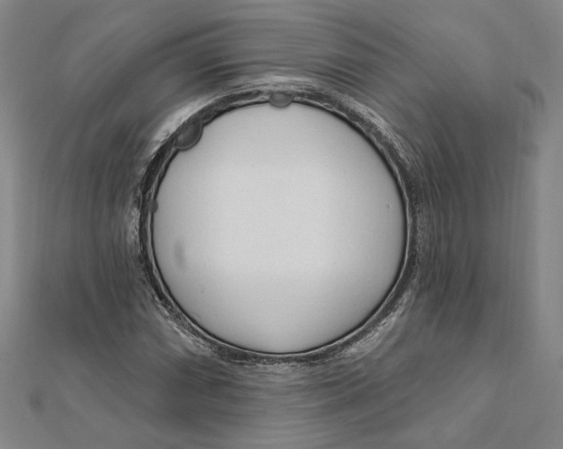 X0000111671066200908141424