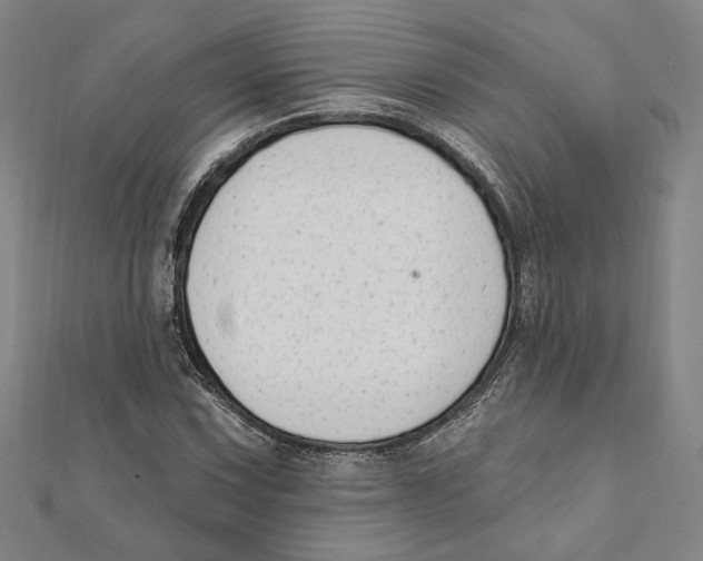 X0000111671067200908141424