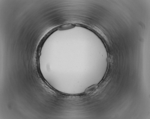 X0000111671068200908141424