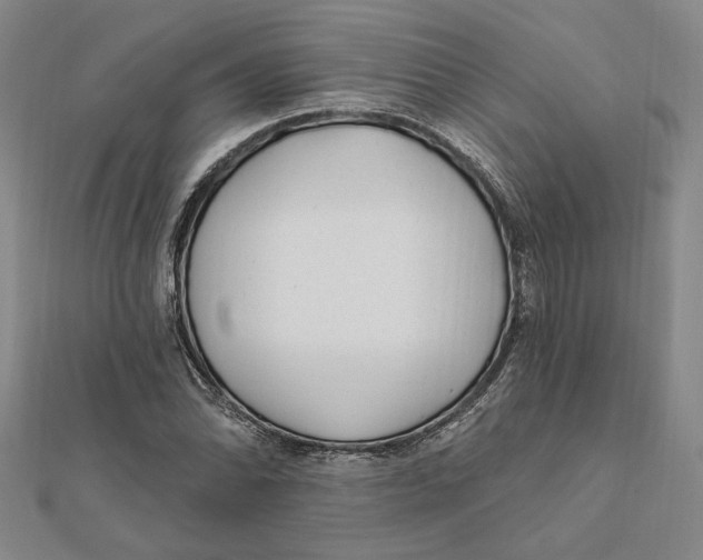 X0000111671070200908141424