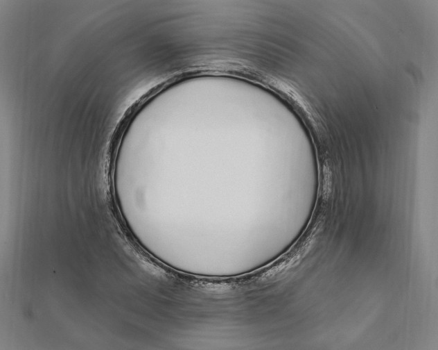 X0000111671071200908141424