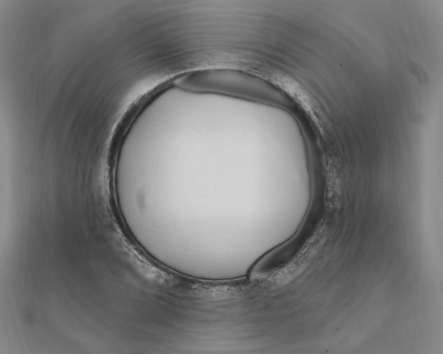 X0000111671072200908141424