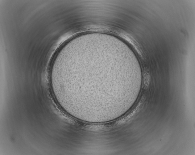 X0000111671074200908141424