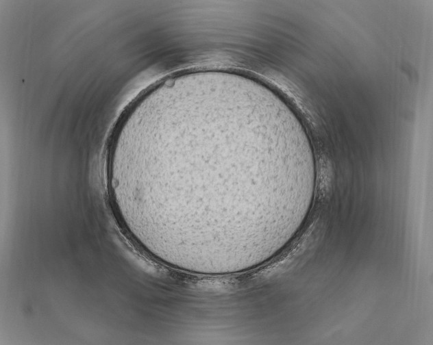 X0000111671078200908141423