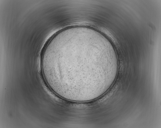 X0000111671079200908141423