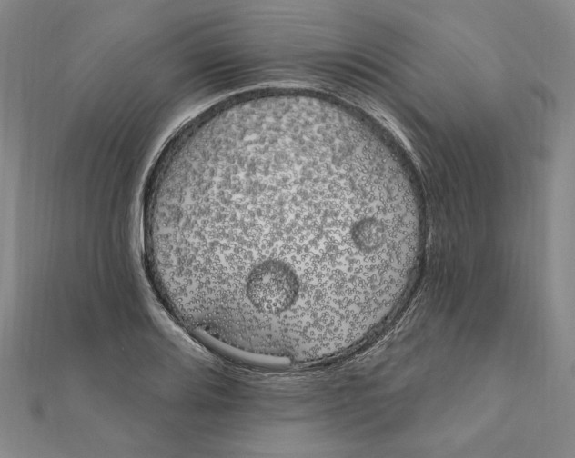 X0000111671080200908141423