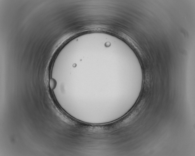 X0000111671082200908141423