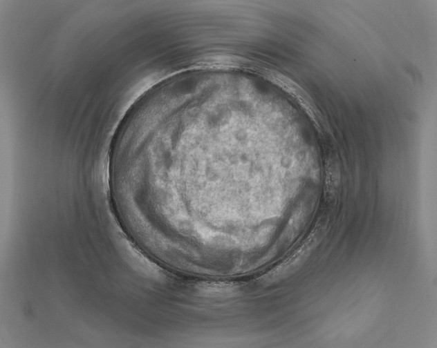 X0000111671083200908141423