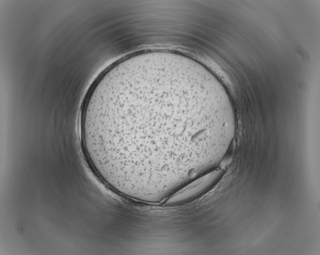 X0000111671084200908141423