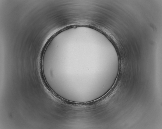 X0000111671085200908141423