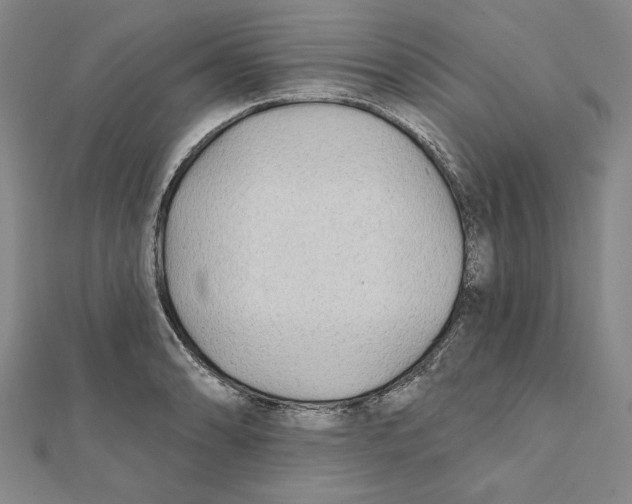 X0000111671086200908141423