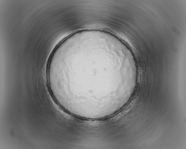 X0000111671087200908141423