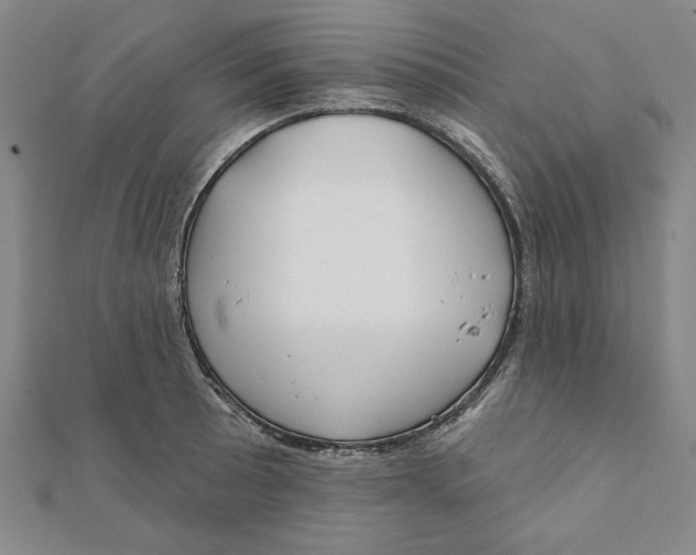 X0000111671089200908141423