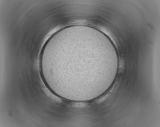 X0000111671090200908141423