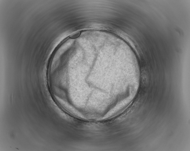 X0000111671091200908141423