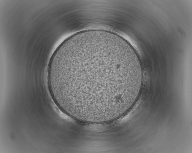 X0000111671094200908141423