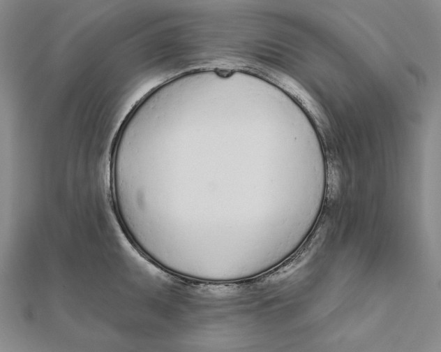 X0000111671095200908141423