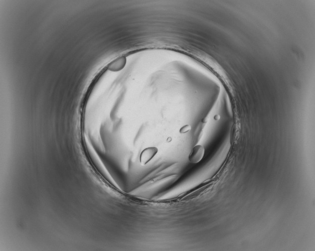 X0000111671096200908141423