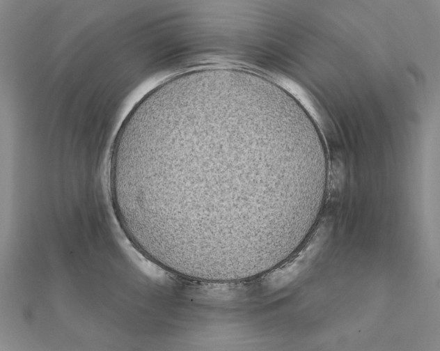 X0000111671098200908141423