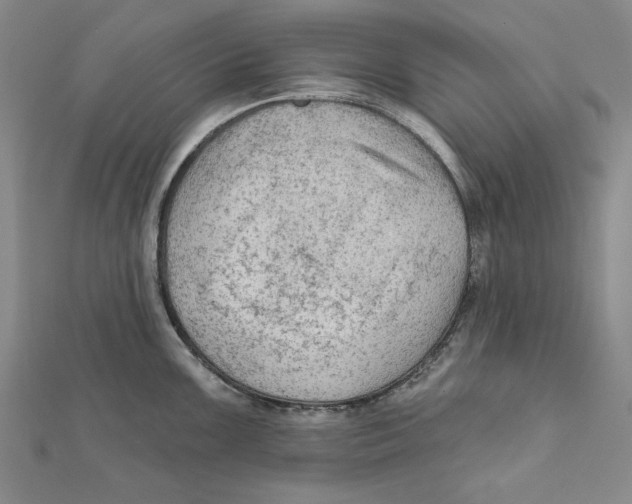 X0000111671099200908141423