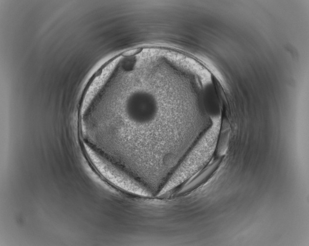 X0000111671100200908141423