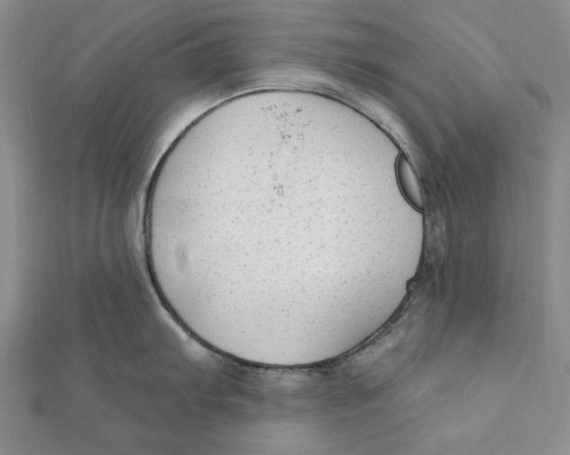 X0000111671103200908141423