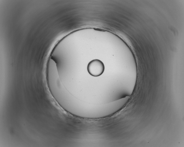 X0000111671104200908141423