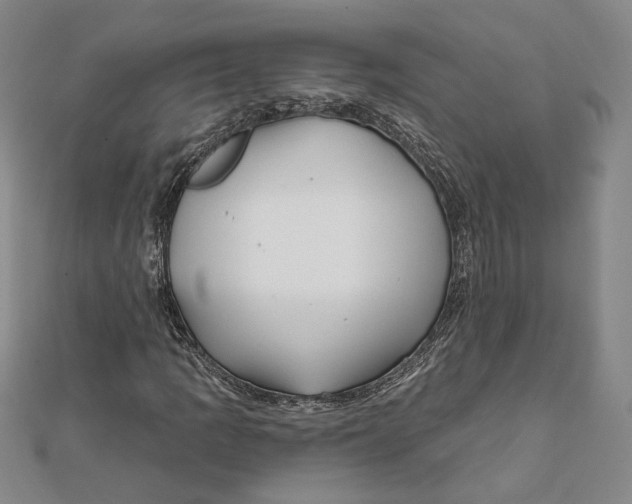 X0000111671109200908141423