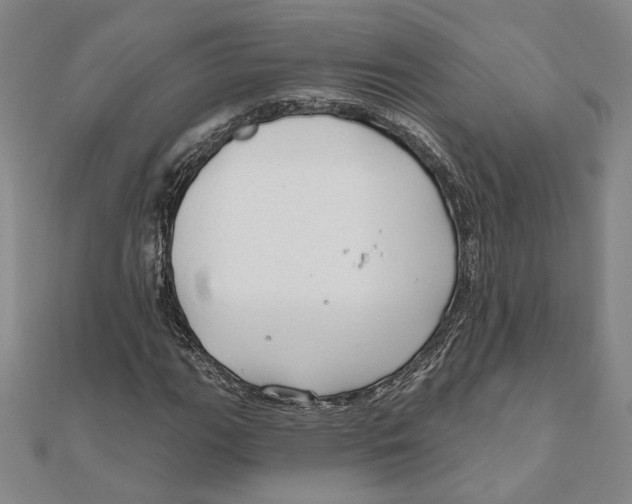 X0000111671111200908141423